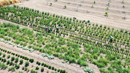 Eti Alüminyum’dan dev katkı