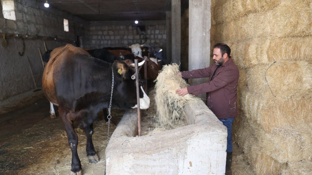 Genç veteriner &quot;Uzman Eller Projesi&quot; ile büyükbaş işletmesini büyüttü