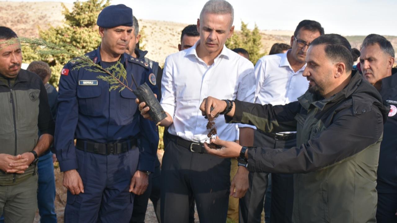 Hatıra ormanında yeni fidanlar