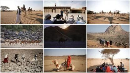 Hicret rotasında sona yaklaşılıyor