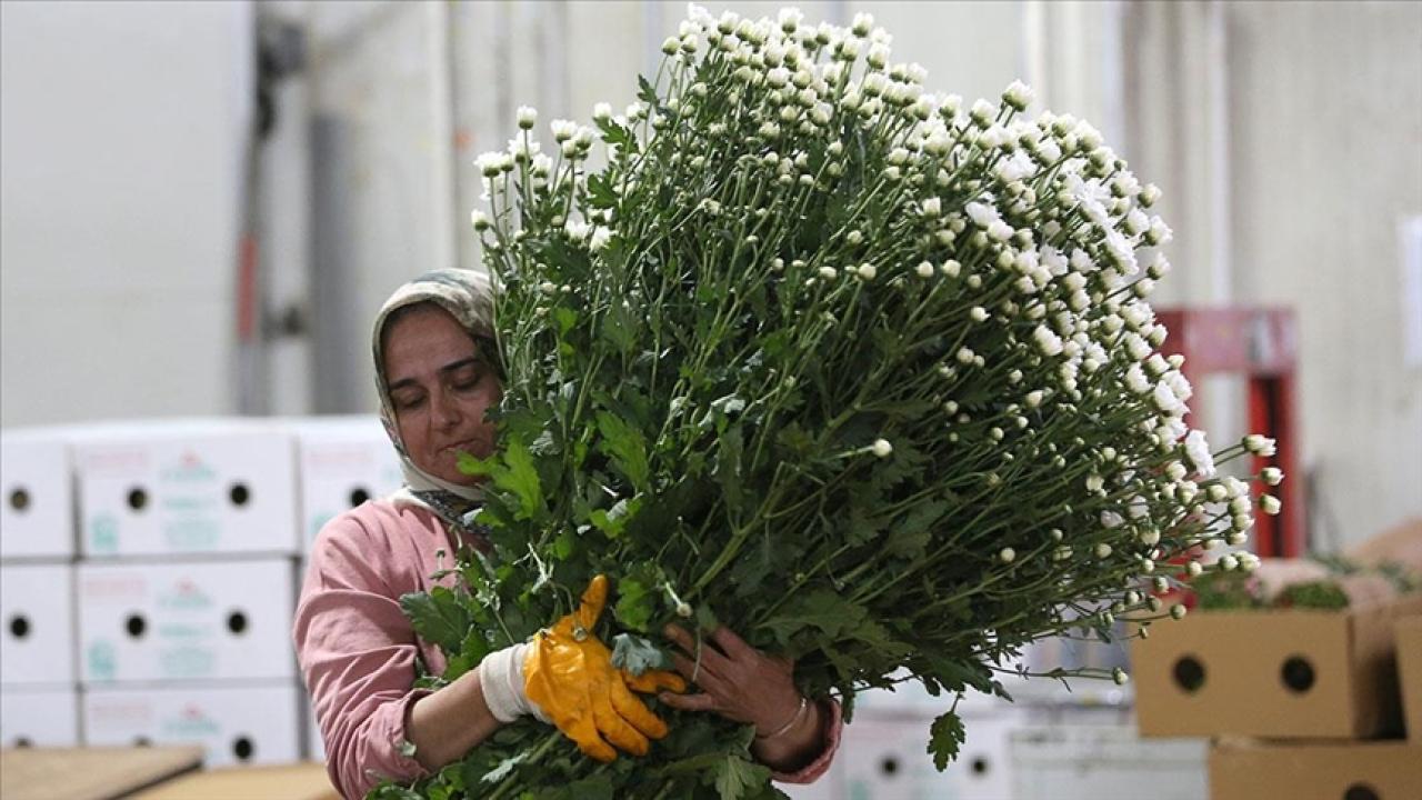 İhracatta rekora koşuyor