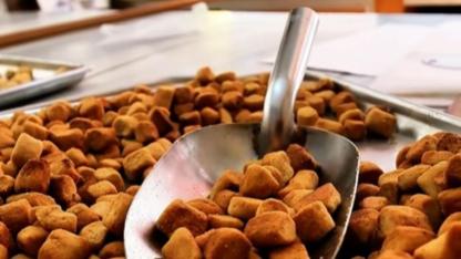 Karaman hacı lokuru tescillendi