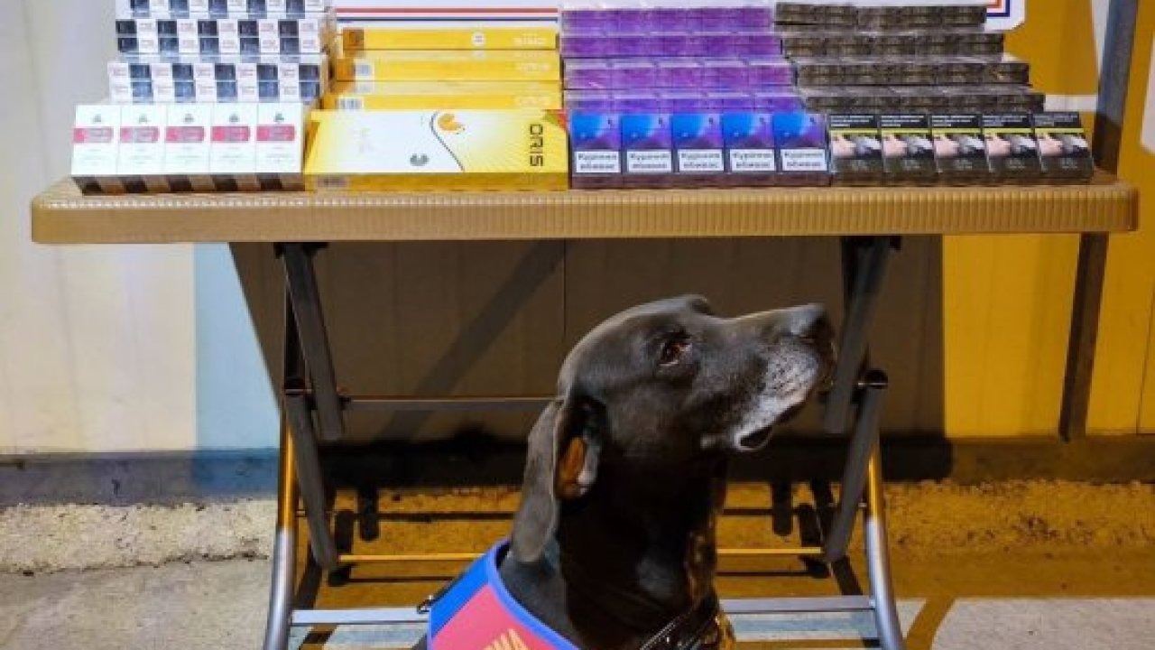 Kayseri'de 750 paket bandrolsüz kaçak sigara ele geçirildi