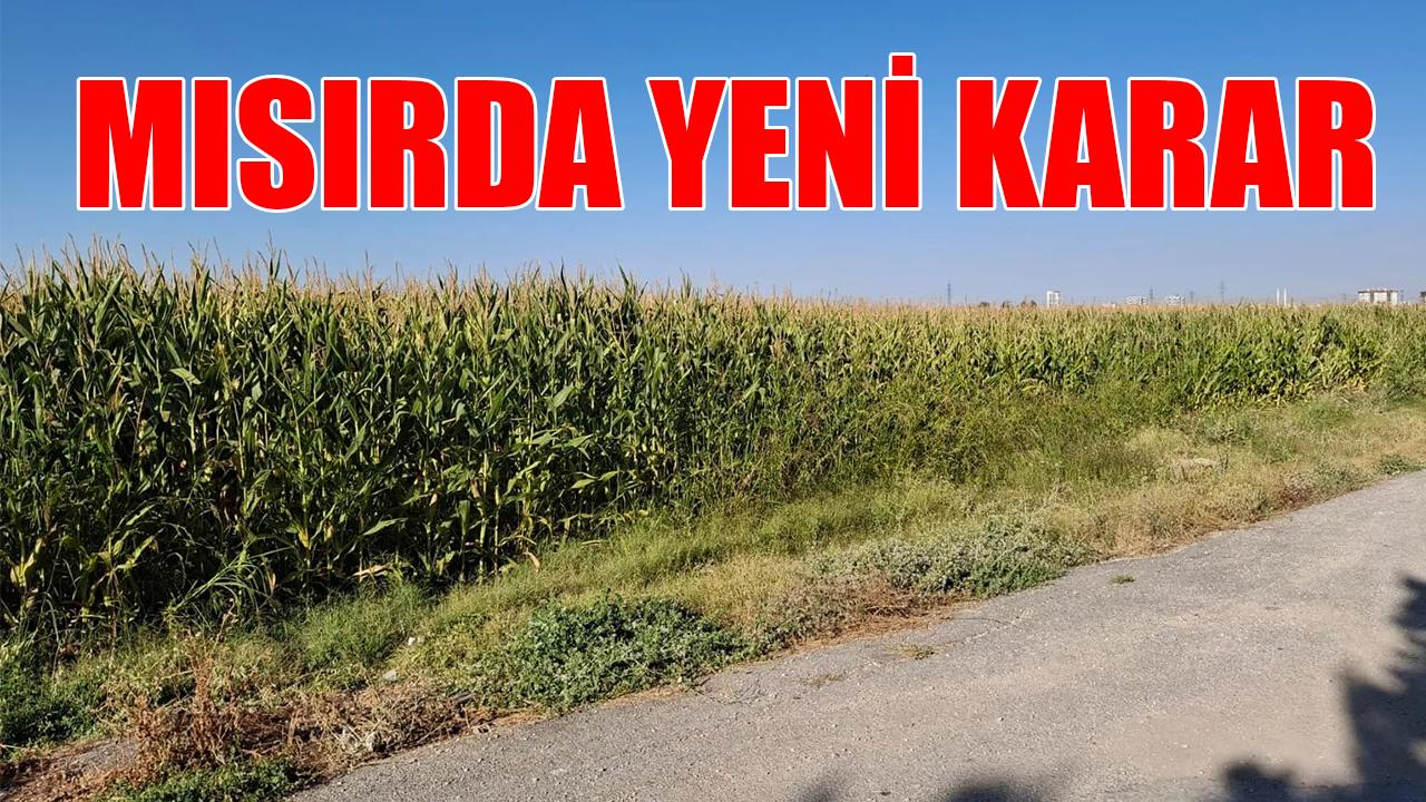 Mısırda yeni karar