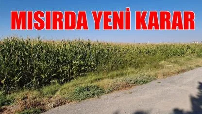 Mısırda yeni karar