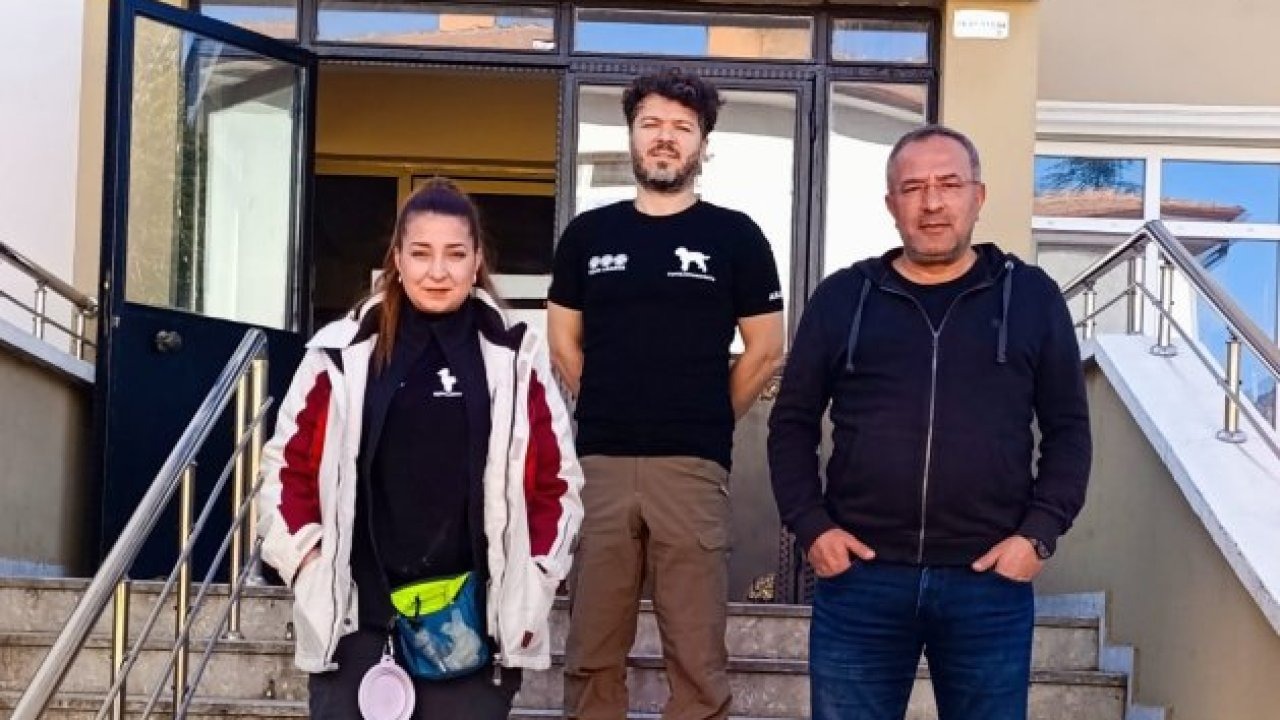 Nallıhan&#039;daki mantar çeşitliliği kayıt altına alınıyor