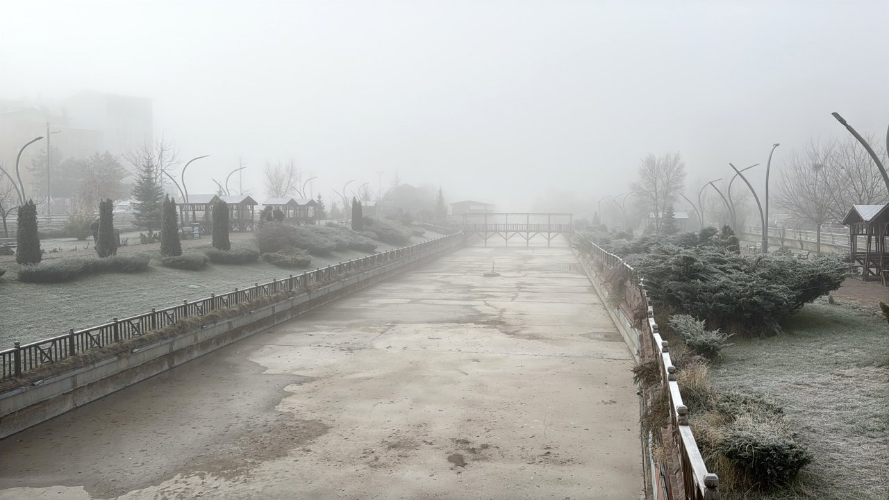 Sivas'ta sis etkili oldu