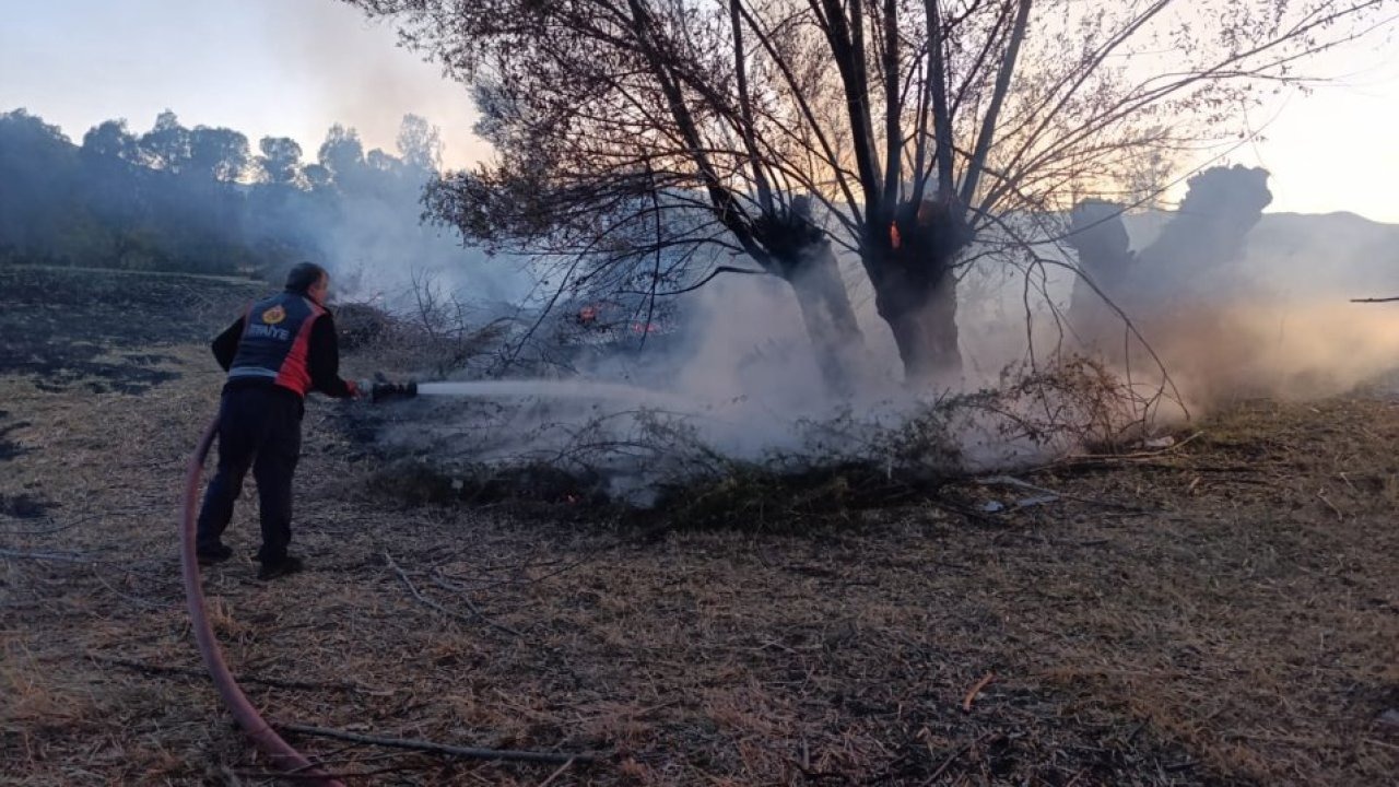 Suşehri&#039;nde çıkan anız yangınında 200 ağaç zarar gördü