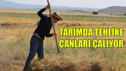 Tarımda tehlike çanları çalıyor