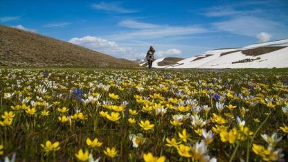 Z ve Y kuşağı daha fazla ilgi gösteriyor