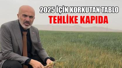 2025 için korkutan tablo