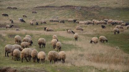 2,7 milyar lira destek sağlandı