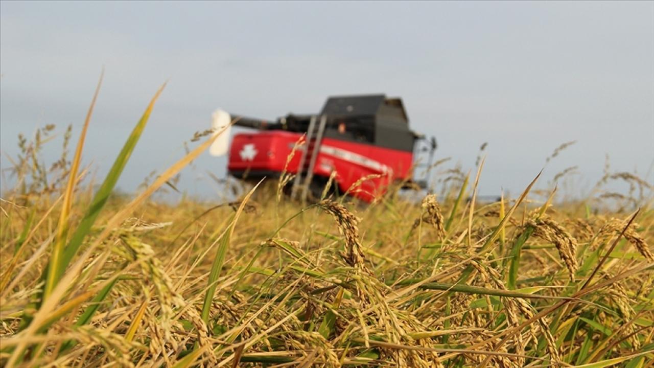 4,2 milyar lira hasar tazminatı ödendi