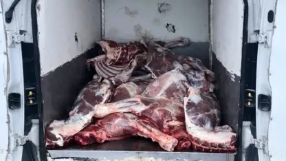 Kırşehir'de 6,1 ton kaçak ve bozulmuş hayvansal ürün ele geçirildi