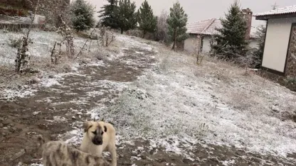 Beypazarı ilçesinin yüksek kesimleri beyaza büründü