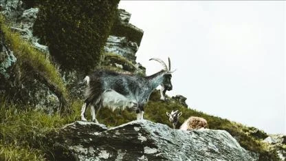 953 bin 82 lira ceza uygulandı