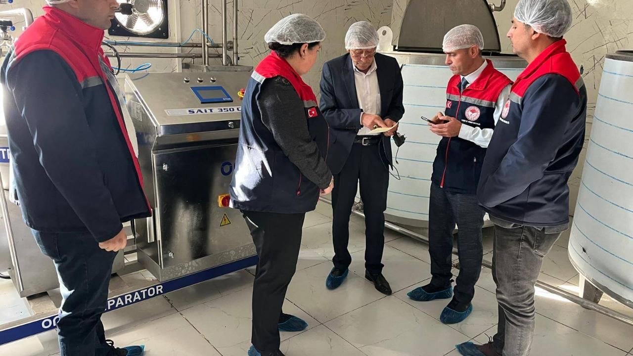 Divle Obruk Peynirinde yeni dönem başlıyor