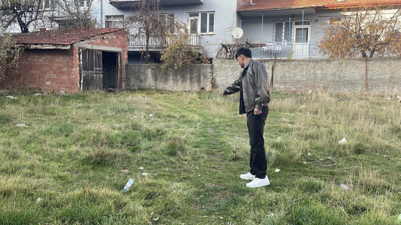 Eskişehir&#039;de boş arazide şiddete uğradıkları değerlendirilen 8 kedi ölüsü bulundu