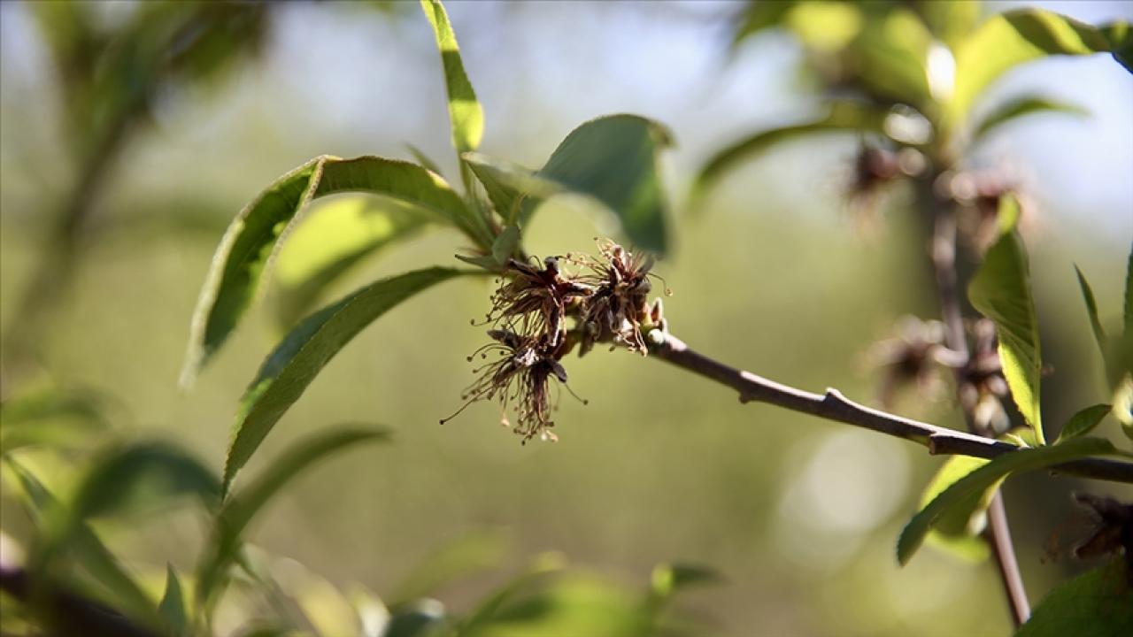 Hesabınızı kontrol edin