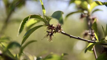 Hesabınızı kontrol edin