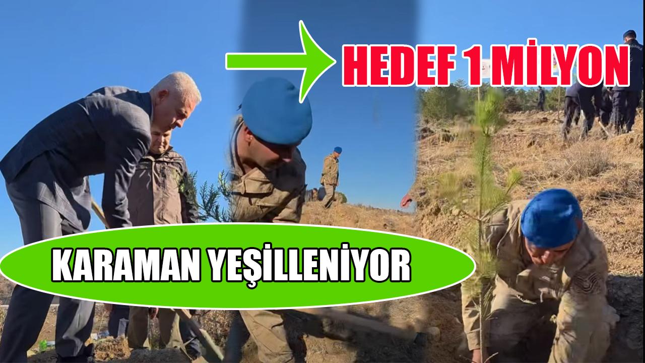 Karaman yeşilleniyor