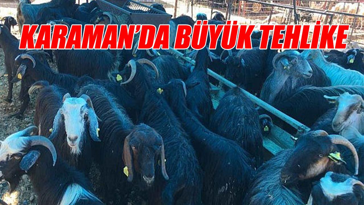 Karaman'da büyük tehlike
