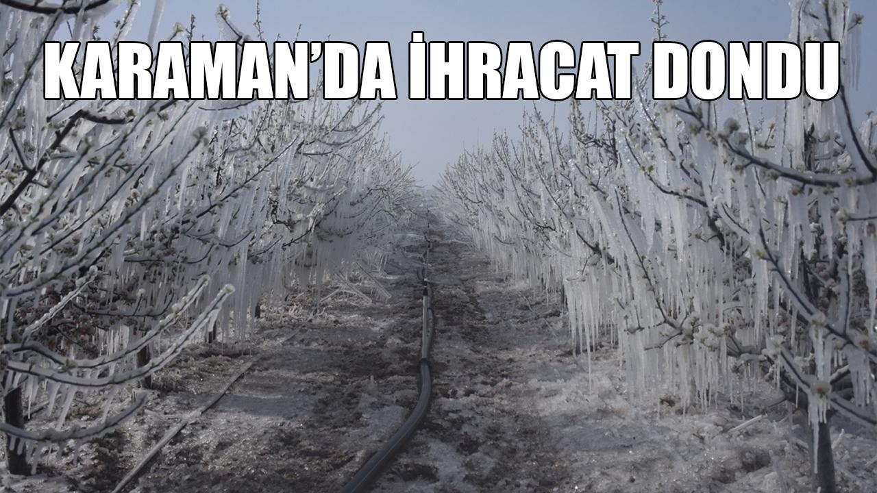 Karaman’da ihracat dondu