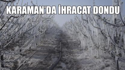 Karaman’da ihracat dondu
