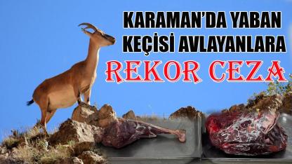 Karaman’da yaban keçisi avlayanlara rekor ceza