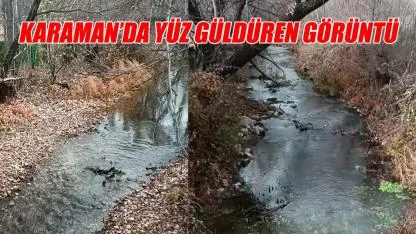 Karaman'da yüz güldüren görüntü