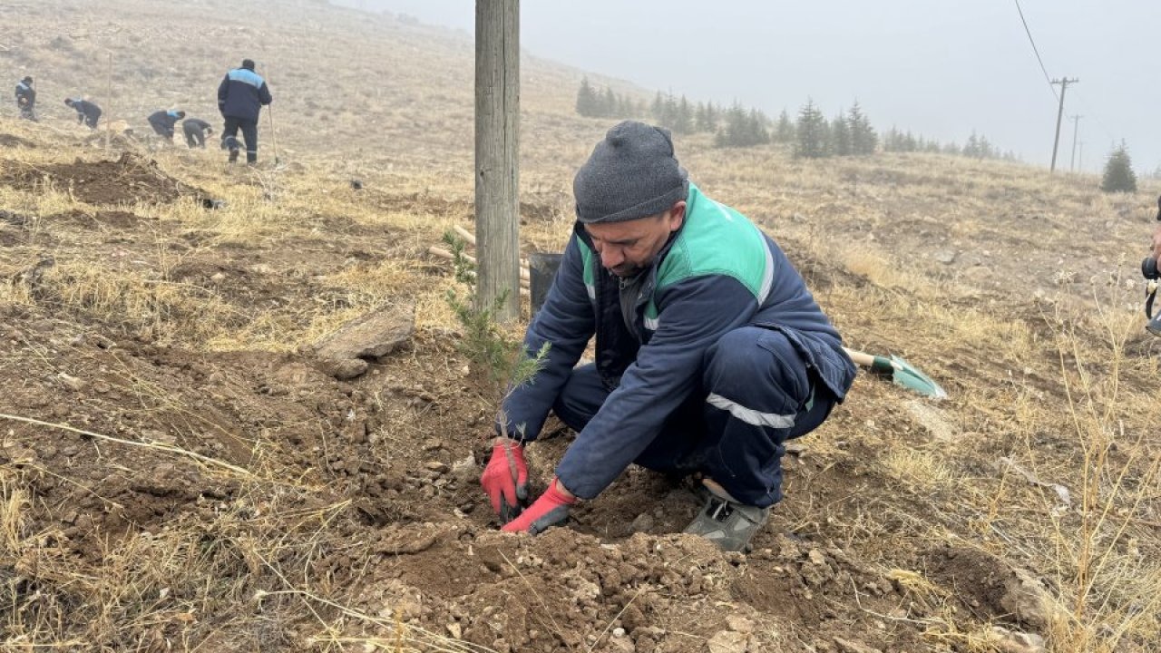Kayseri&#039;den kısa kısa