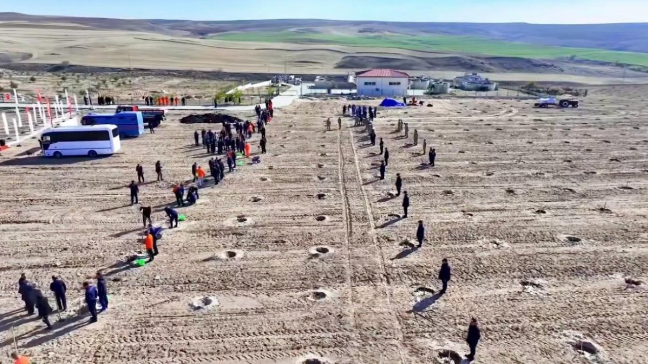 Kırşehir&#039;de cezaevi yerleşkelerinde 5 bin 500 fidan toprakla buluşturuldu