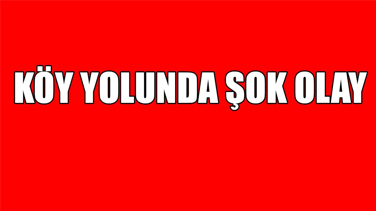 Köy yolunda şok olay