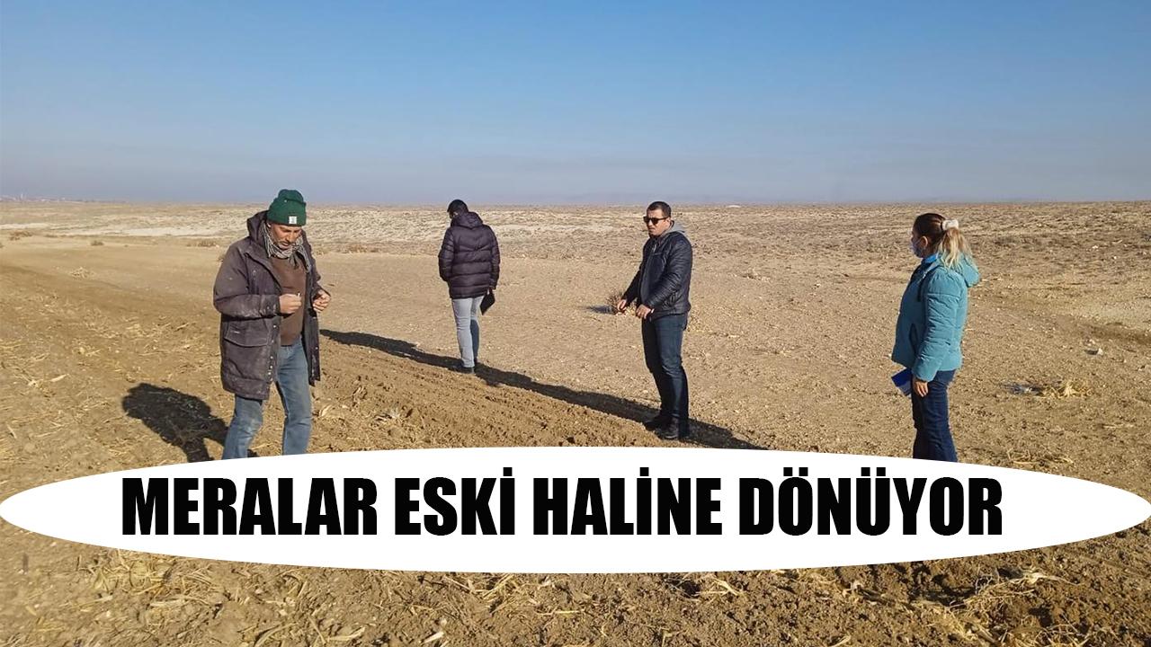 Meralar eski haline dönüyor