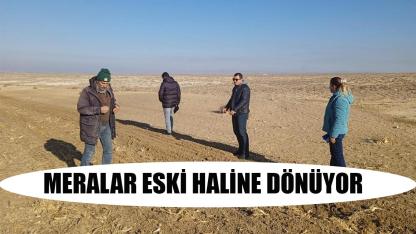 Meralar eski haline dönüyor