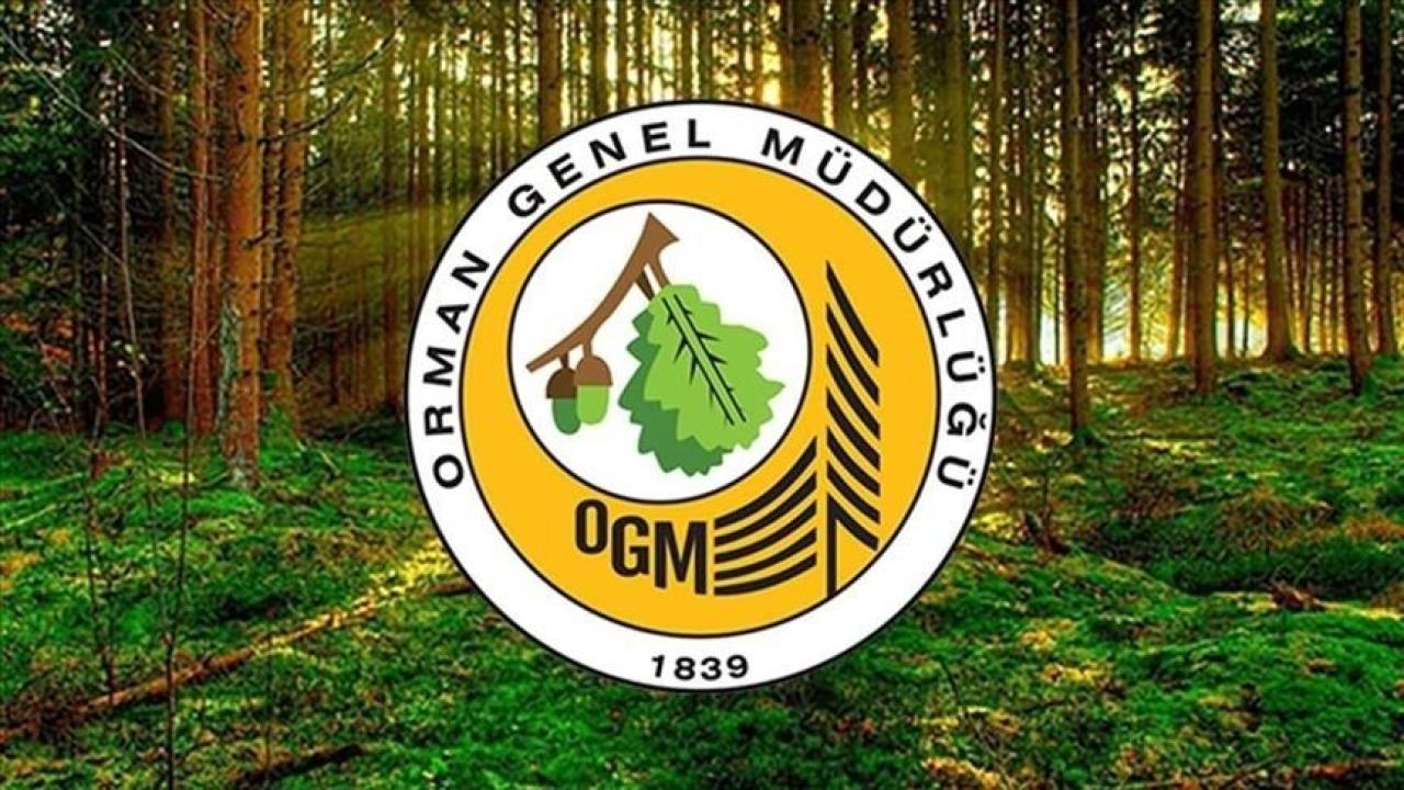 Orman Genel Müdürlüğü işçi alacak