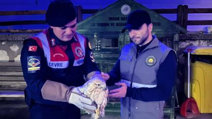 Paçalı Şahin emin ellerde