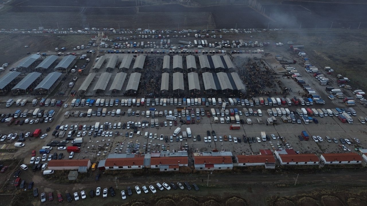 Şap hastalığı tedbirleri kapsamında geçici kapatılan Şarkışla Canlı Hayvan Pazarı yeniden açıldı