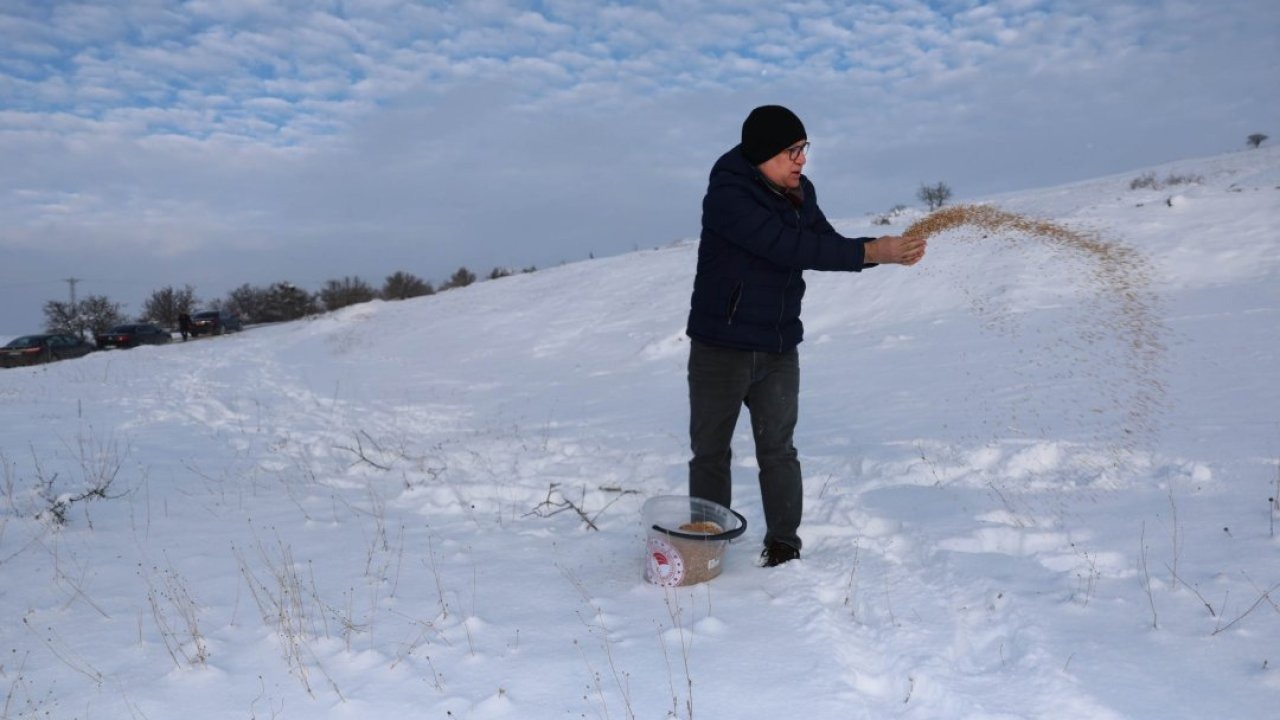 Sivas'ta yaban hayvanları için doğaya yem bırakıldı