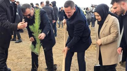 Vekil Eser fidan dikti