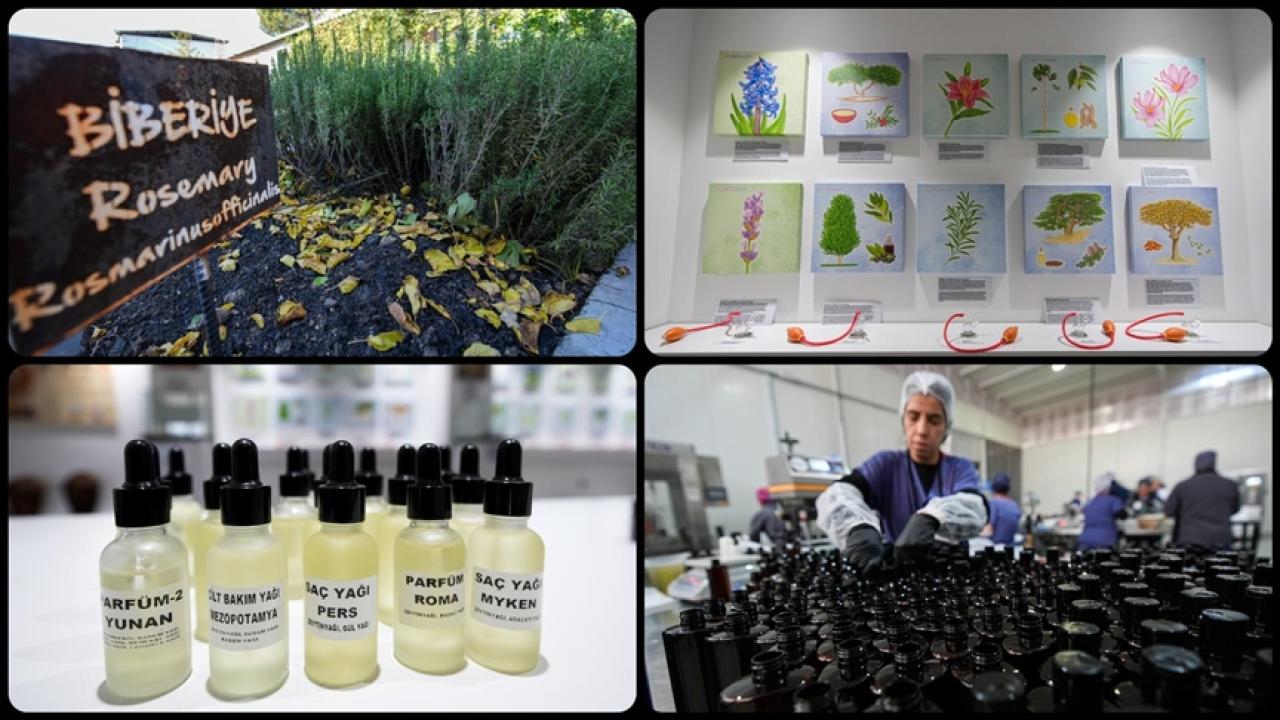 Yeni fırsatlar sunuyor