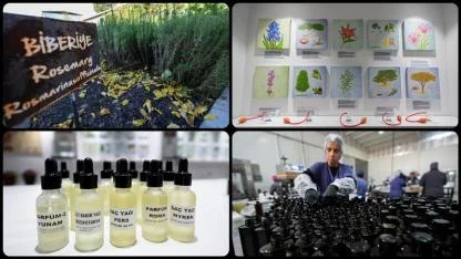 Yeni fırsatlar sunuyor