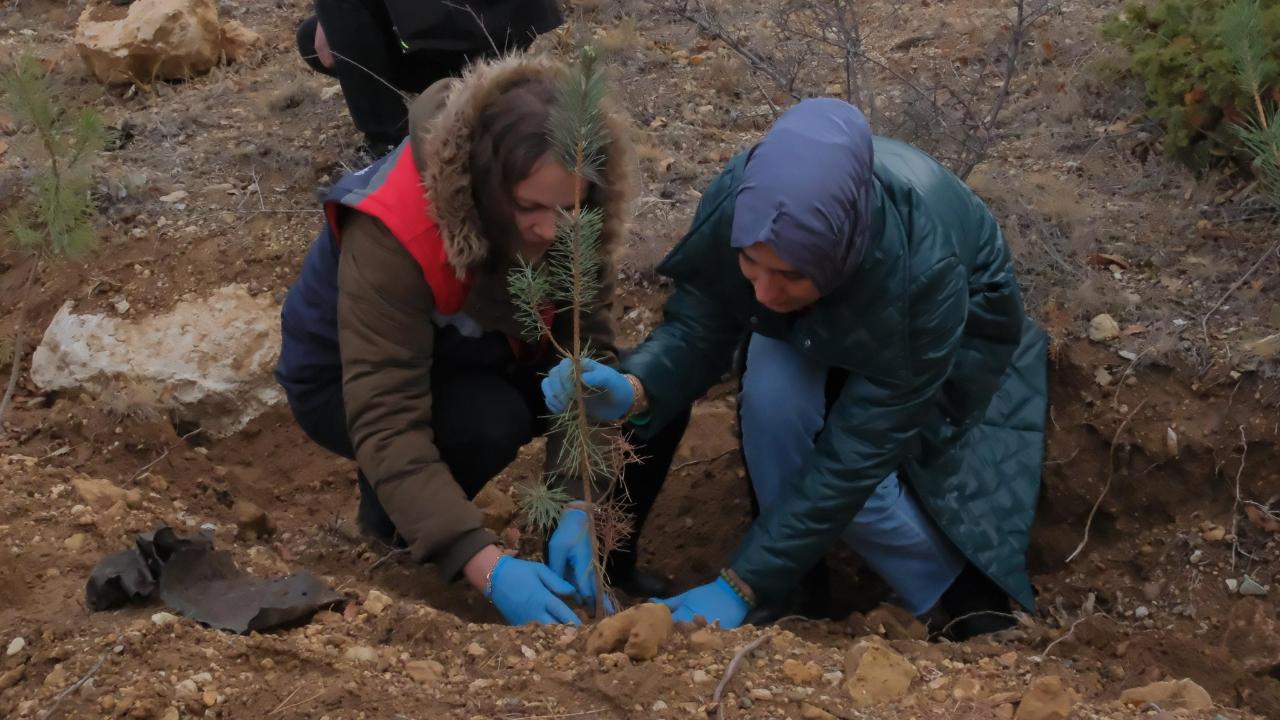Yeşil vatan için fidanlar toprakla buluştu