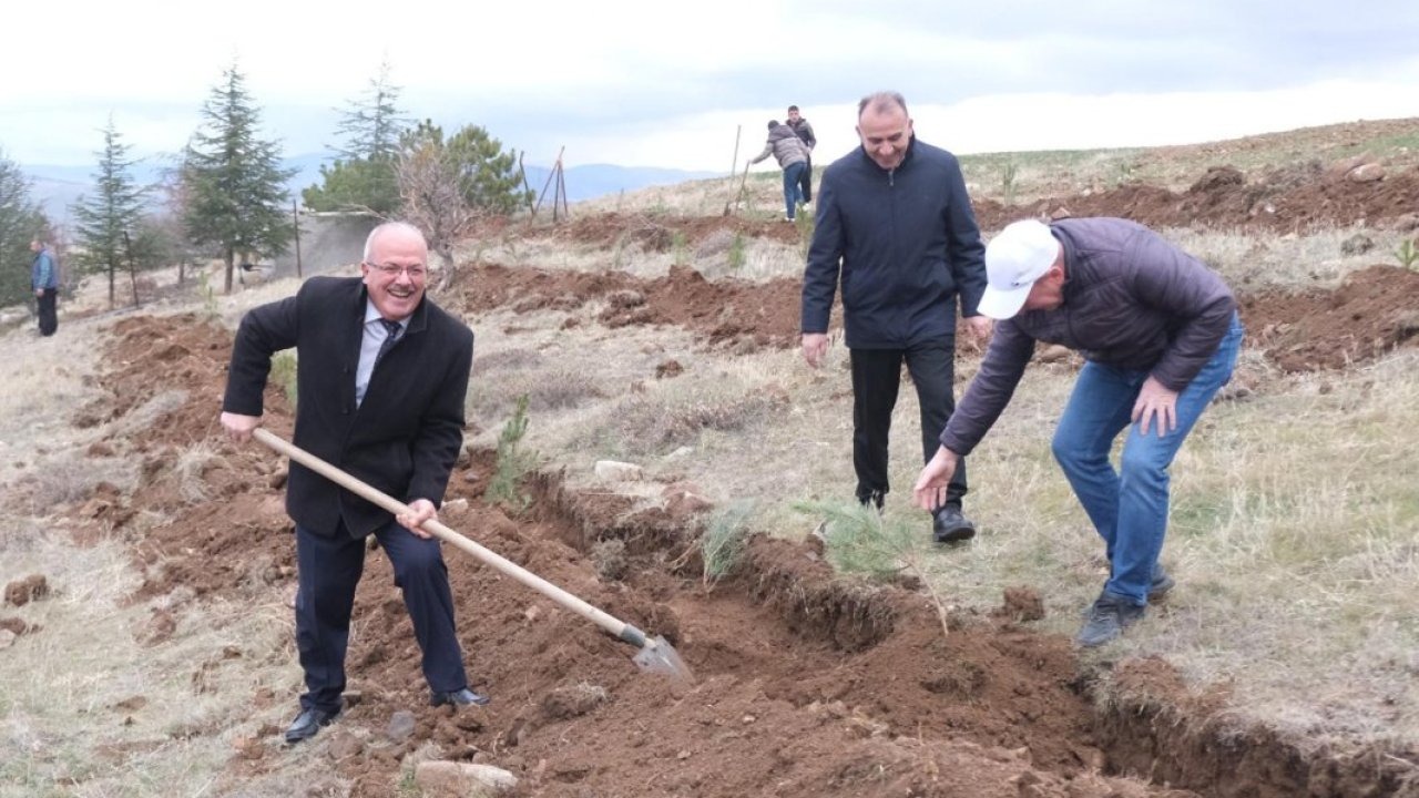 Yozgat&#039;ta 1500 çam fidanı toprakla buluşturuldu