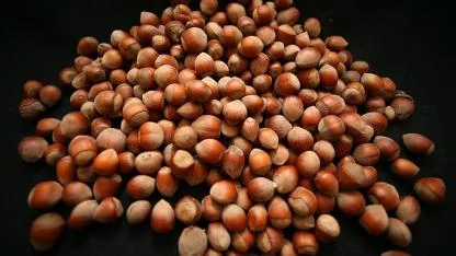 122 ülkede alıcı buldu