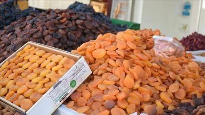 335 milyon dolara yakın ihracat yapıldı