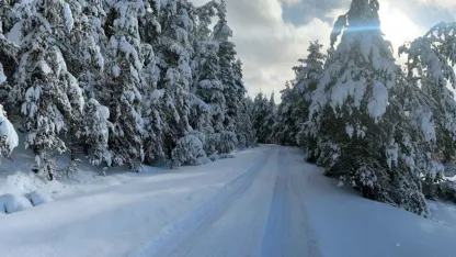 Eğriova Yaylası beyaza büründü
