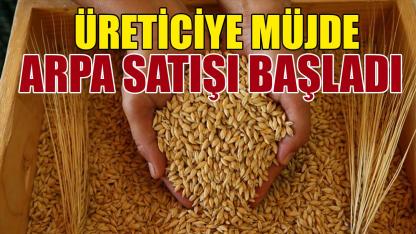 Arpa satışı başladı
