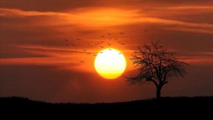 Dünya üç yıldır çok sıcak