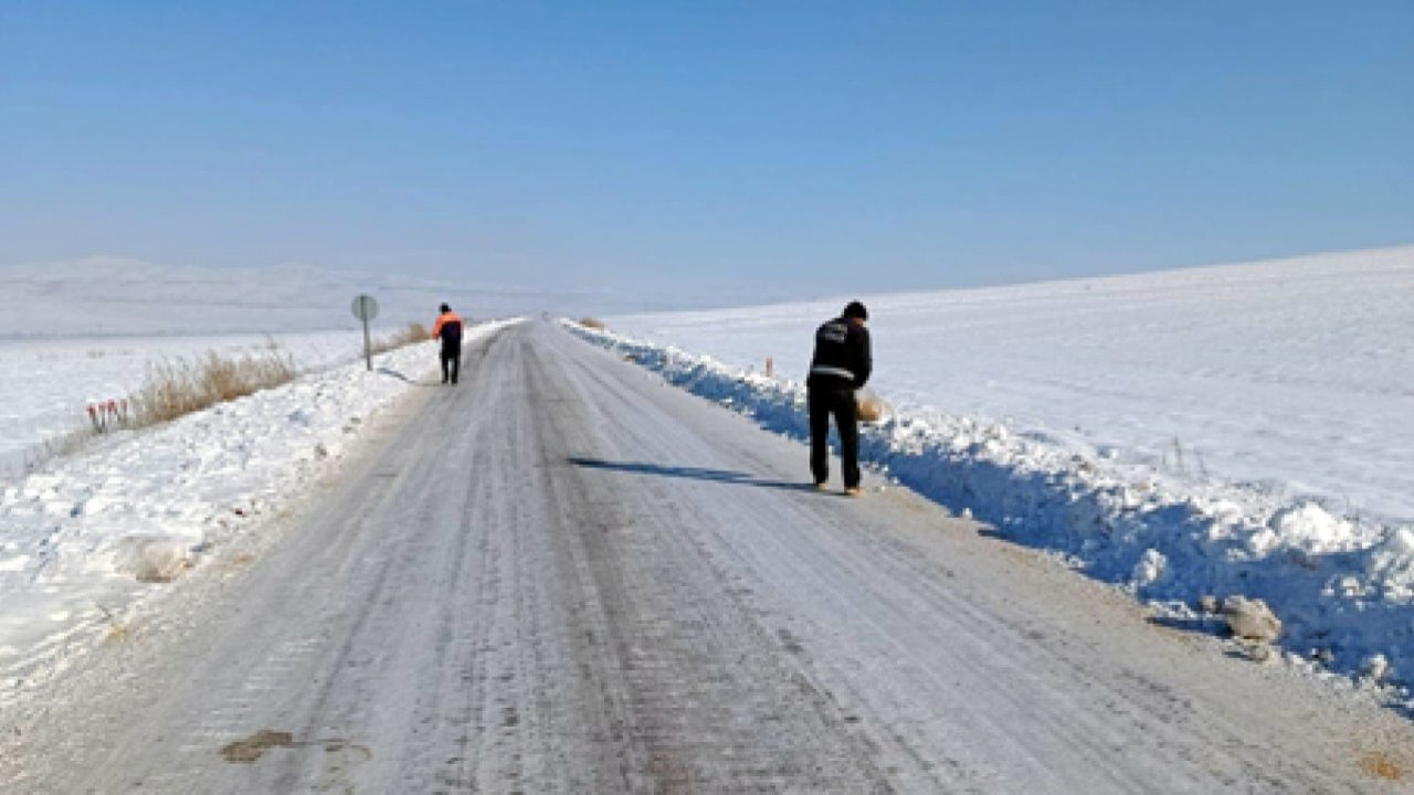 Gemerek'te sokak hayvanları için doğaya yem bırakıldı